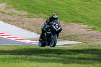 Oulton-Park-20th-March-2020;PJ-Motorsport-Photography-2020;anglesey;brands-hatch;cadwell-park;croft;donington-park;enduro-digital-images;event-digital-images;eventdigitalimages;mallory;no-limits;oulton-park;peter-wileman-photography;racing-digital-images;silverstone;snetterton;trackday-digital-images;trackday-photos;vmcc-banbury-run;welsh-2-day-enduro